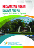 Kecamatan Ngawi Dalam Angka 2022
